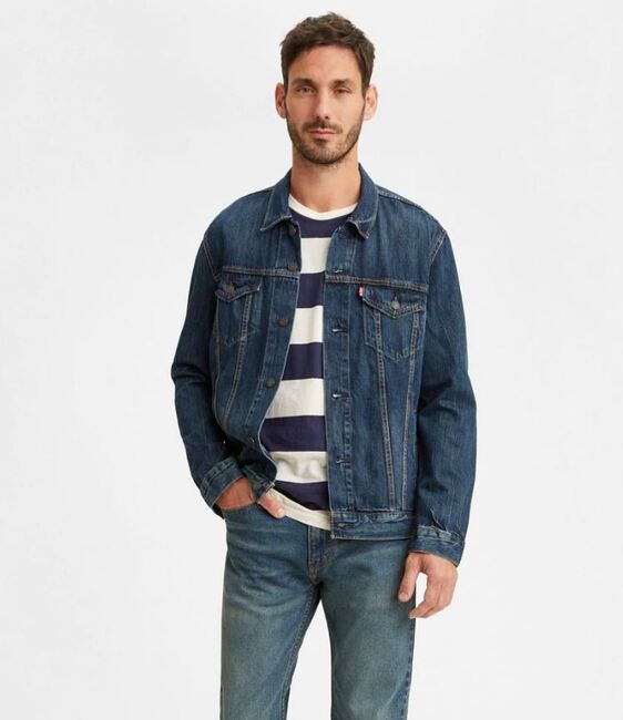 LEVI'S Trucker Jacket 'Palmer'
