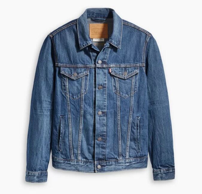 LEVI'S Trucker Jacket 'Palmer'