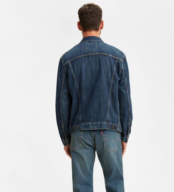 LEVI'S Trucker Jacket 'Palmer'